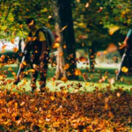 Professionelle Laubentsorgung im Norden